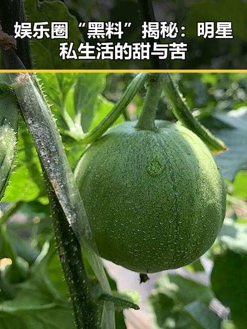 娱乐圈“黑料”揭秘：明星私生活的甜与苦