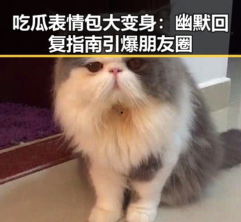 吃瓜表情包大变身:幽默回复指南引爆朋友圈